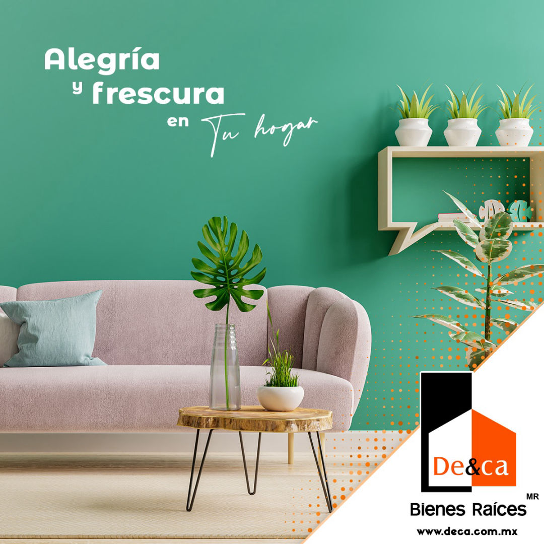 alegria y frescura en tu hogar